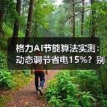 格力AI节能算法实测：动态调节省电15%？别瞎吹（图2）