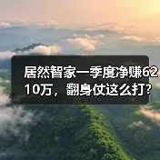 居然智家一季度净赚6210万，翻身仗这么打？（图4）