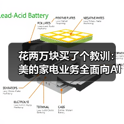 花两万块买了个教训：美的家电业务全面向AI化转型到底香不香？（图2）